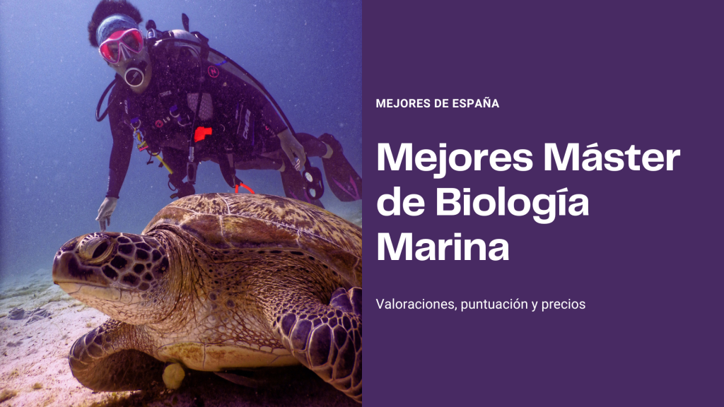 master biologia marina