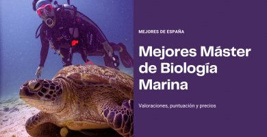 master biologia marina